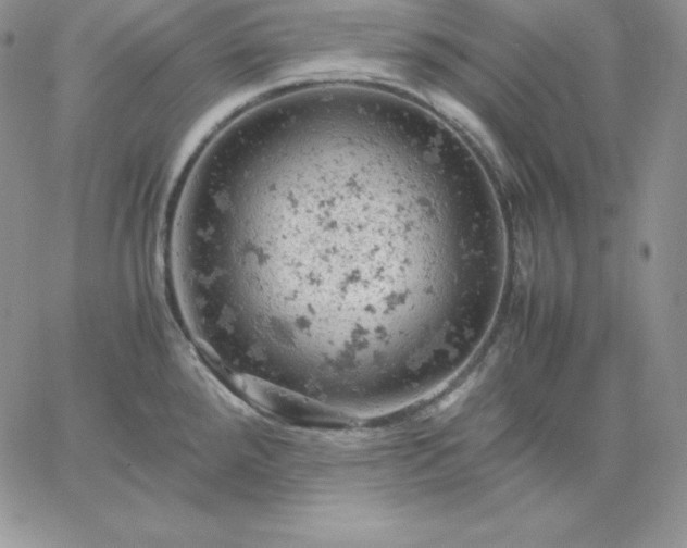 X0000061741288200512091601