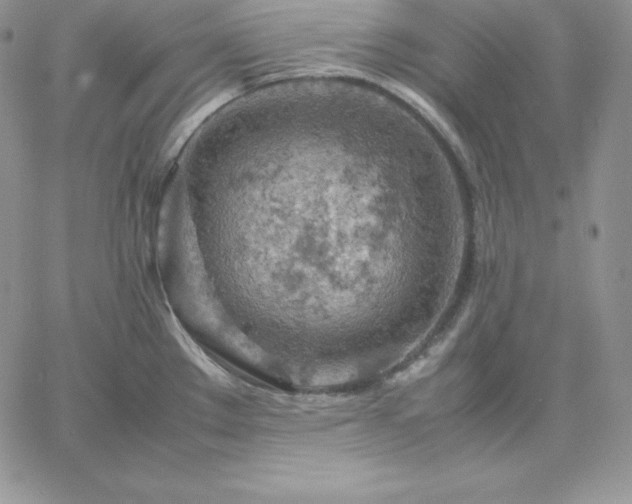 X0000061741289200512091601