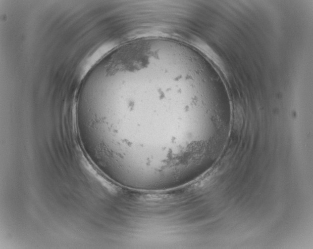 X0000061741290200512091601