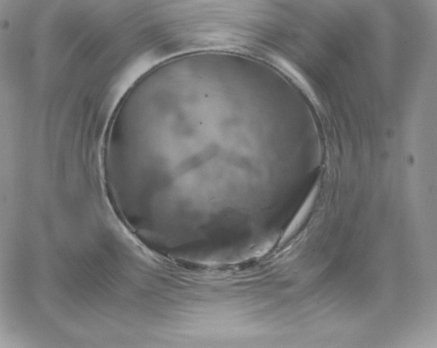 X0000061741291200512091601