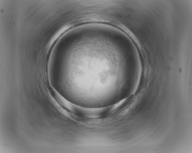 X0000061741293200512091601