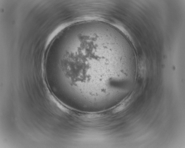 X0000061741294200512091601