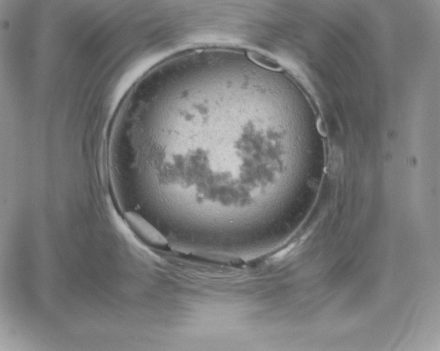 X0000061741295200512091601