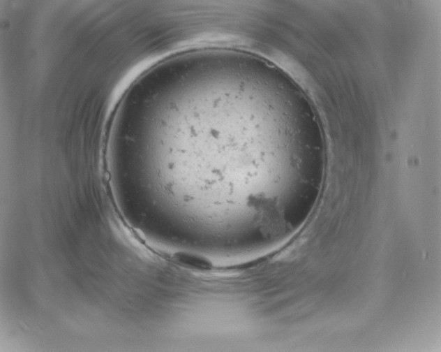 X0000061741296200512091601