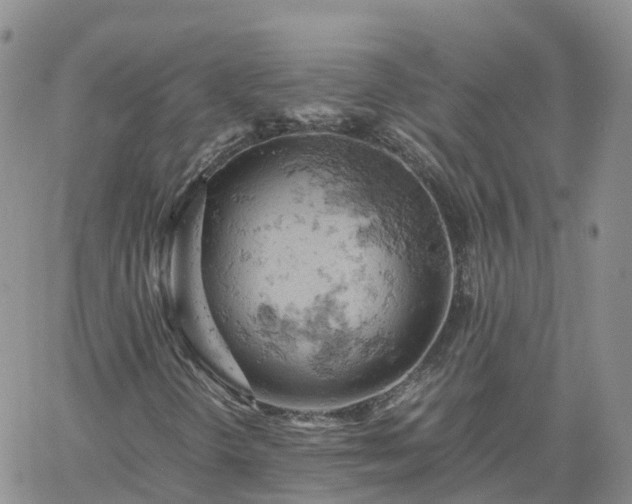 X0000061741298200512091600