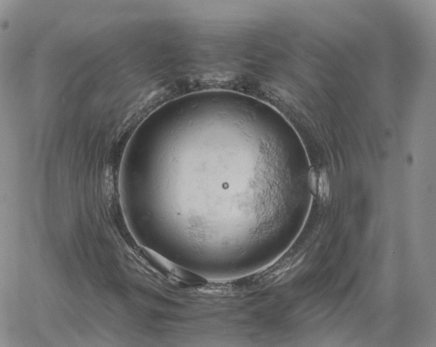 X0000061741299200512091600