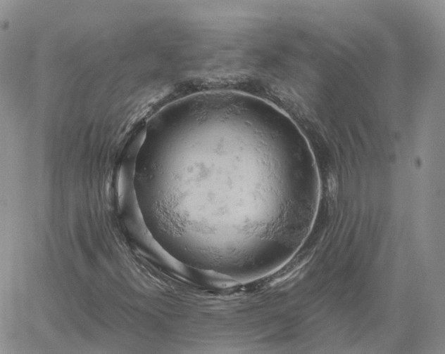 X0000061741300200512091600