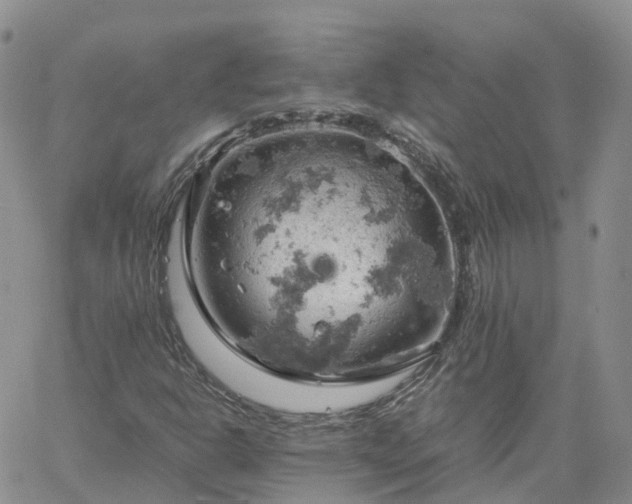 X0000061741302200512091600