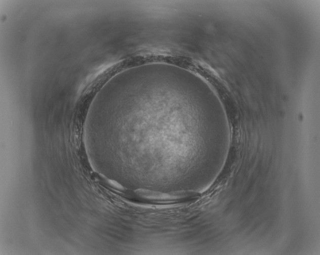 X0000061741303200512091600