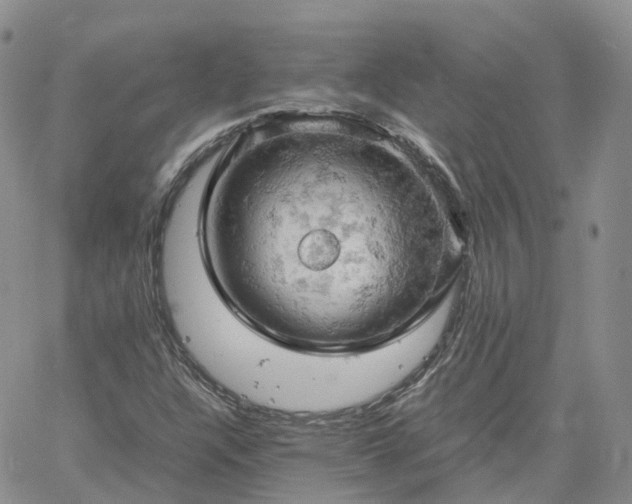 X0000061741304200512091600