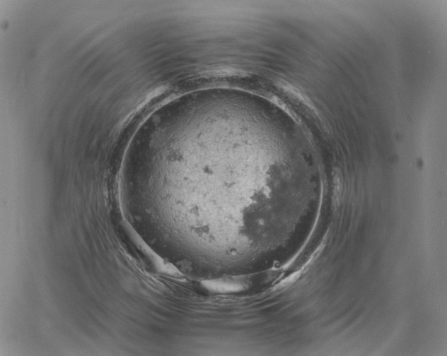 X0000061741305200512091600