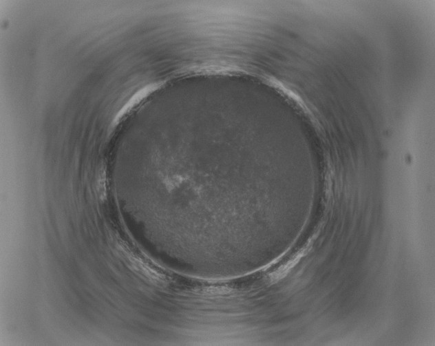 X0000061741306200512091600