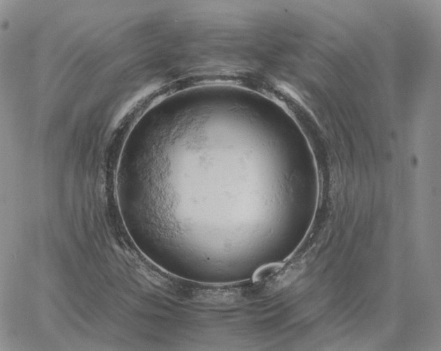 X0000061741307200512091600