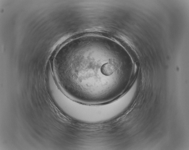 X0000061741308200512091600