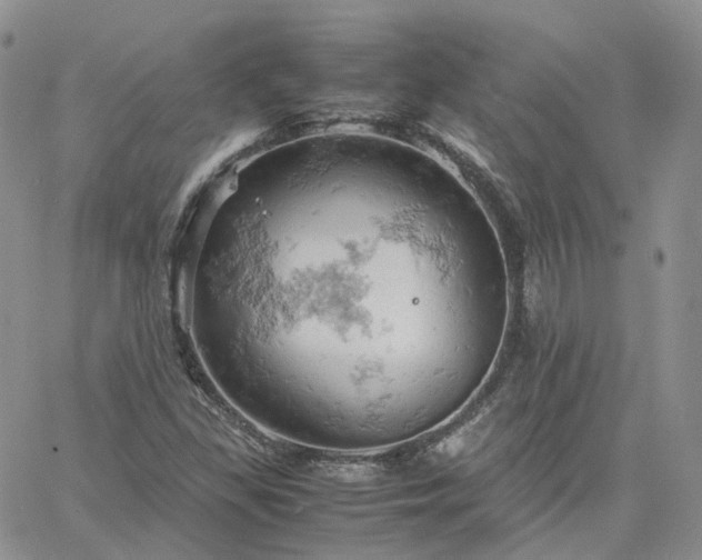 X0000061741309200512091600