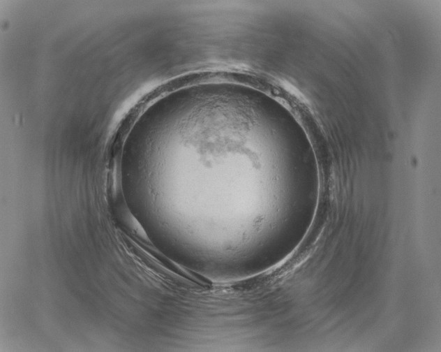 X0000061741310200512091600