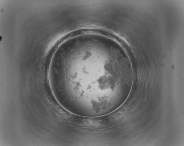 X0000061741311200512091600