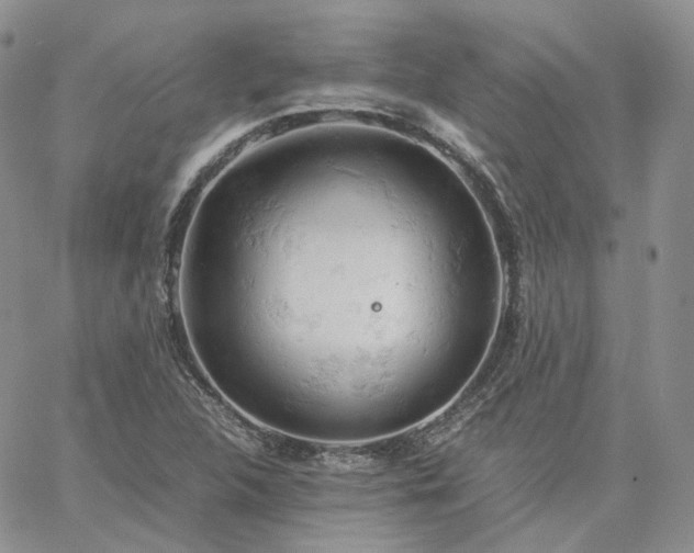 X0000061741312200512091600