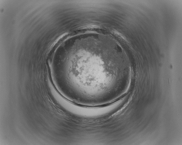 X0000061741313200512091600