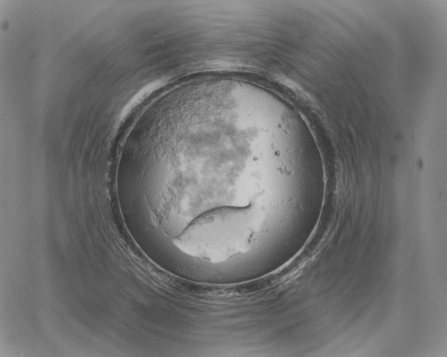 X0000061741314200512091600