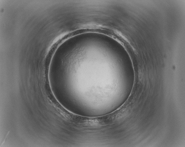 X0000061741315200512091600