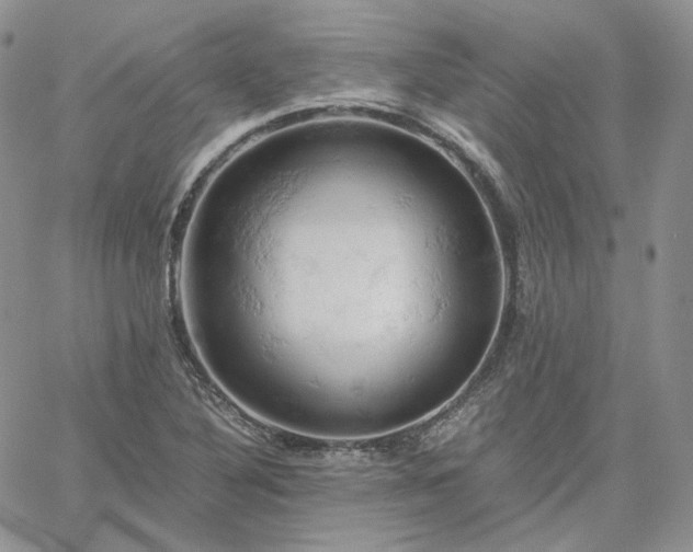 X0000061741316200512091600