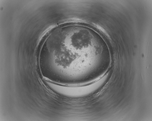 X0000061741318200512091600