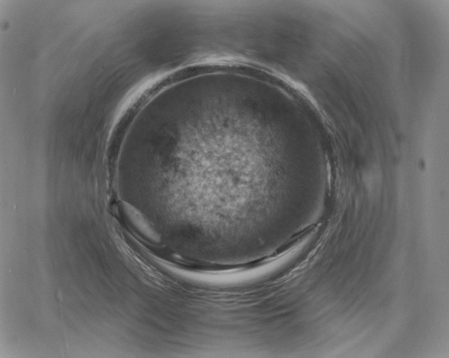 X0000061741319200512091600