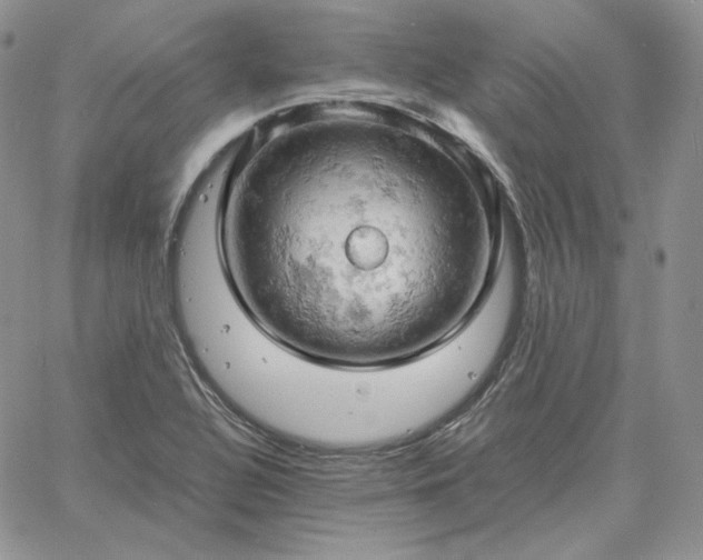 X0000061741320200512091600