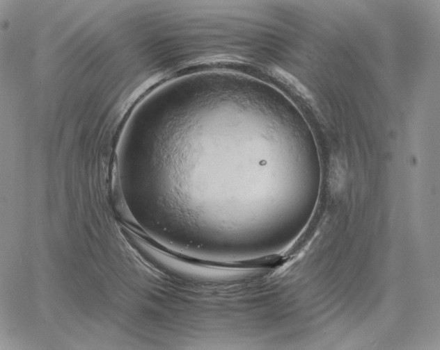 X0000061741321200512091600