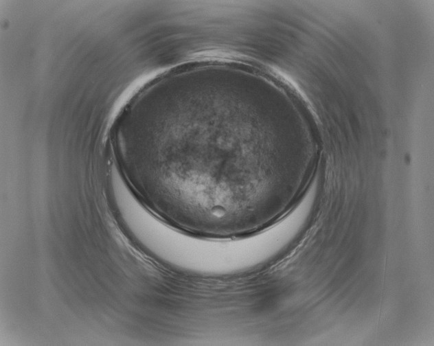 X0000061741323200512091600