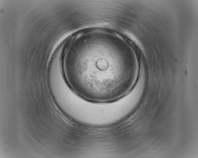 X0000061741324200512091600