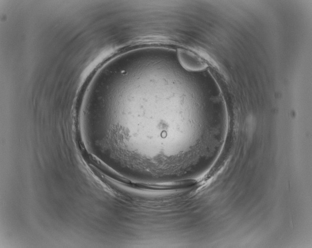 X0000061741325200512091600