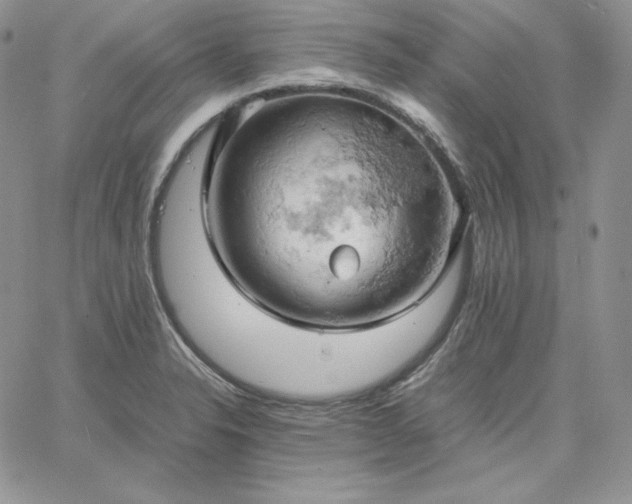 X0000061741326200512091600