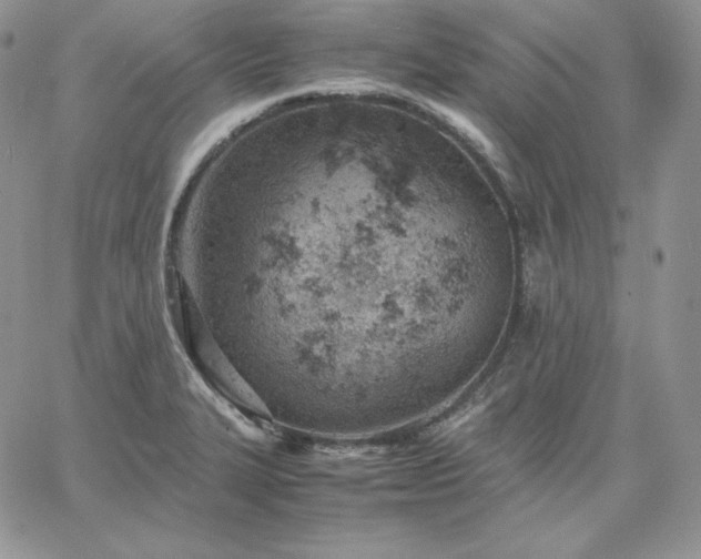 X0000061741327200512091600