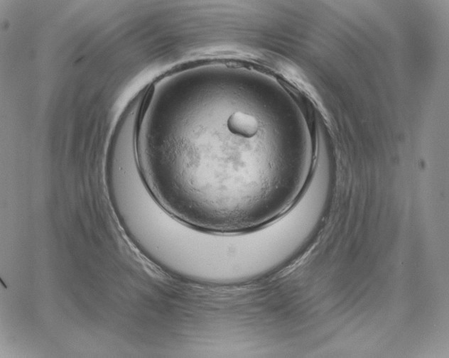 X0000061741328200512091600