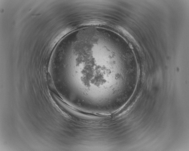 X0000061741329200512091600