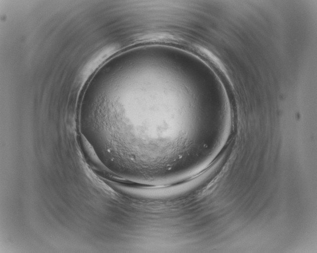 X0000061741330200512091600