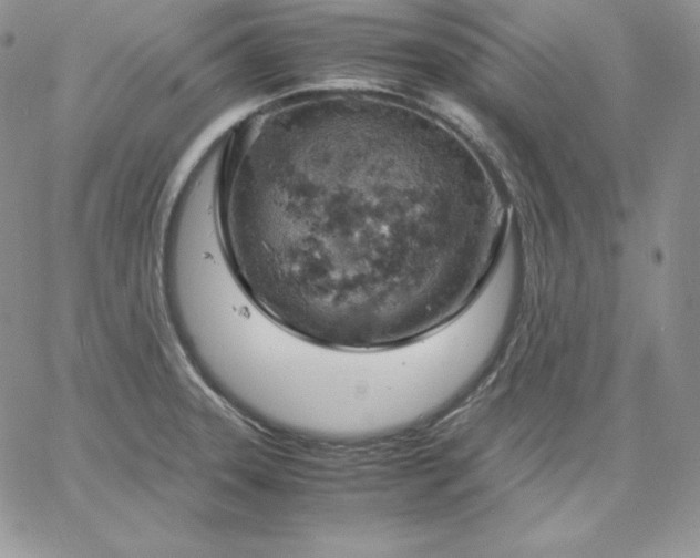 X0000061741331200512091601