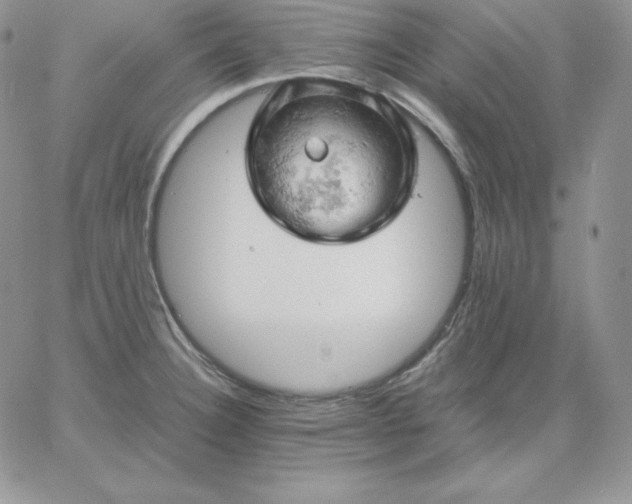 X0000061741332200512091601