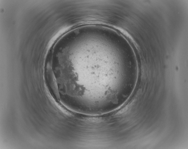 X0000061741333200512091601