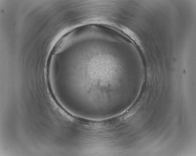 X0000061741334200512091601