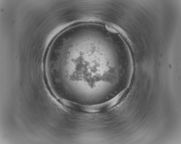 X0000061741335200512091601