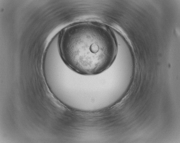 X0000061741336200512091601