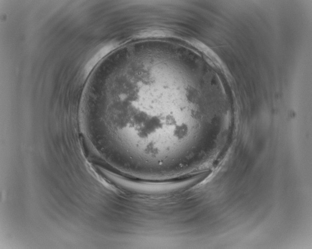 X0000061741337200512091601