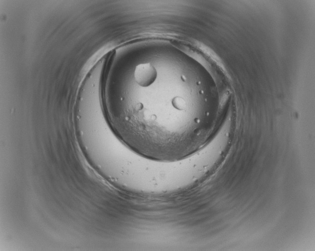 X0000061741338200512091601