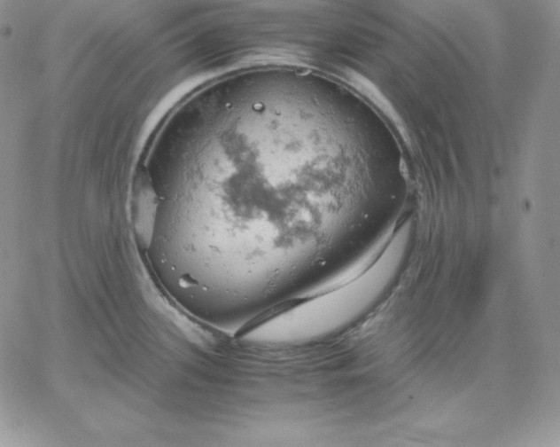 X0000061741339200512091601