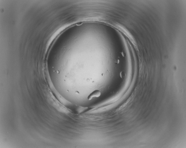 X0000061741340200512091601