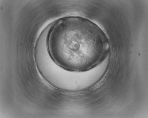 X0000061741342200512091601