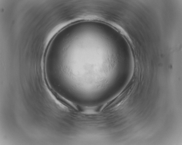 X0000061741343200512091601